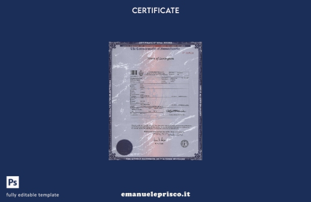 modello di certificato di nascita dello stato USA Massachusetts in stile verific